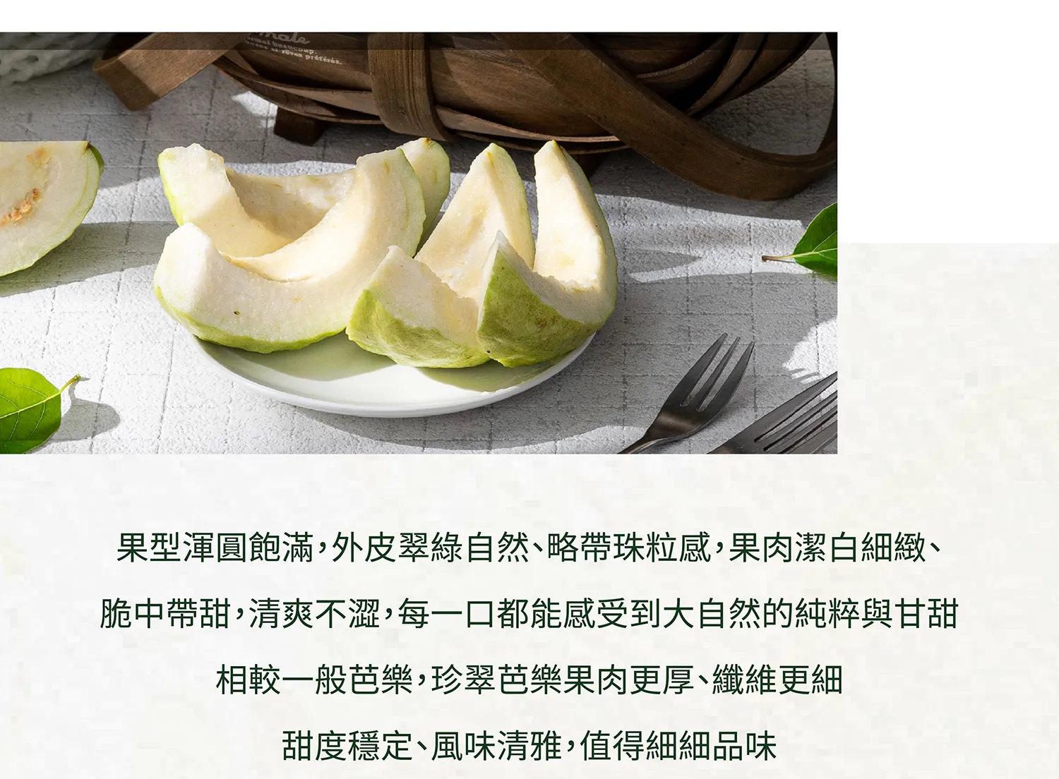 珍翠芭樂商說-02_04
