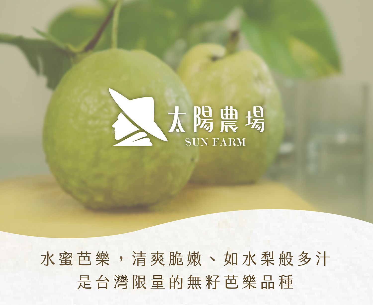 水蜜芭樂商說-01_01