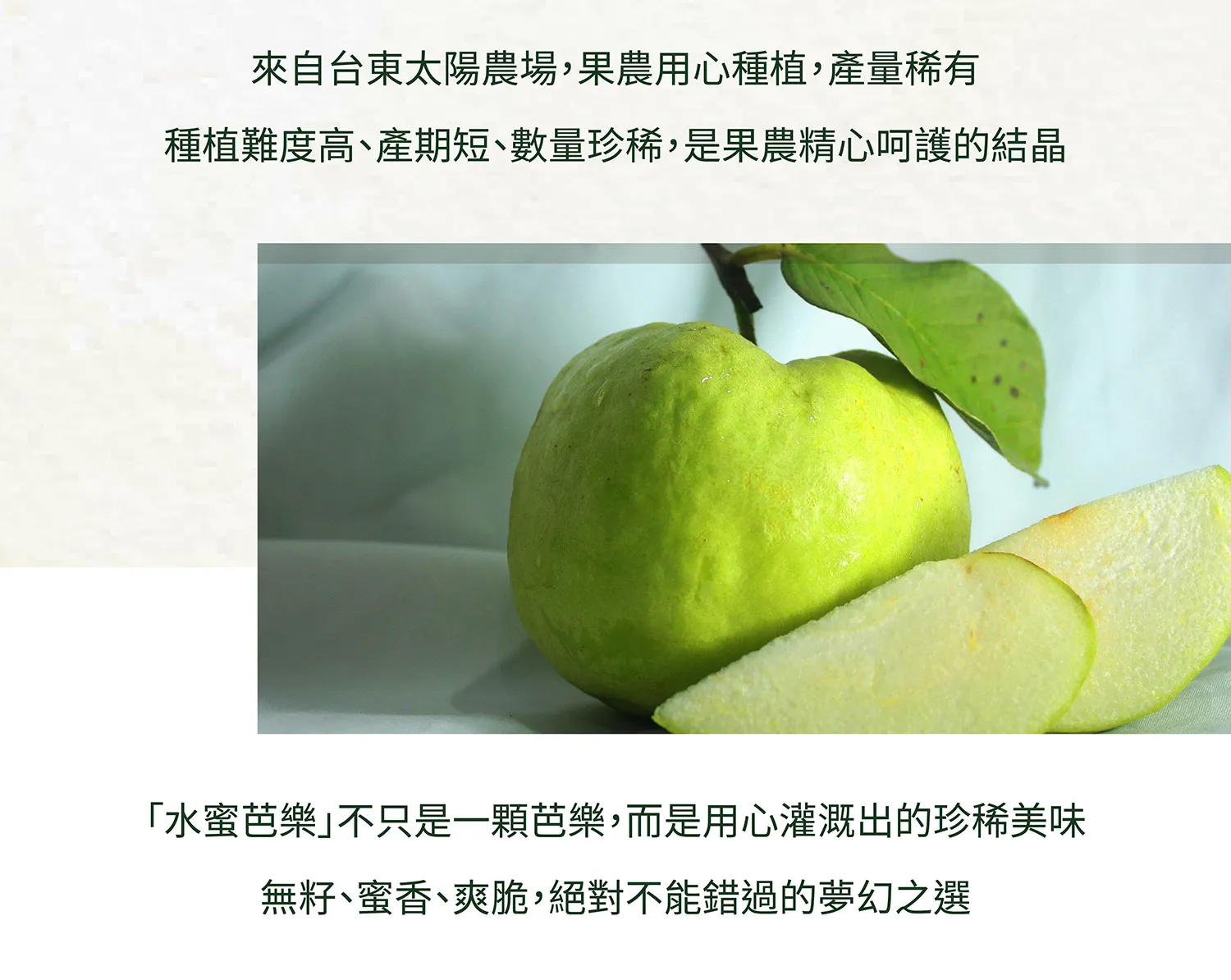 水蜜芭樂商說-01_05