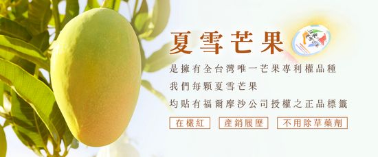  | 太陽農場 SUN FARM