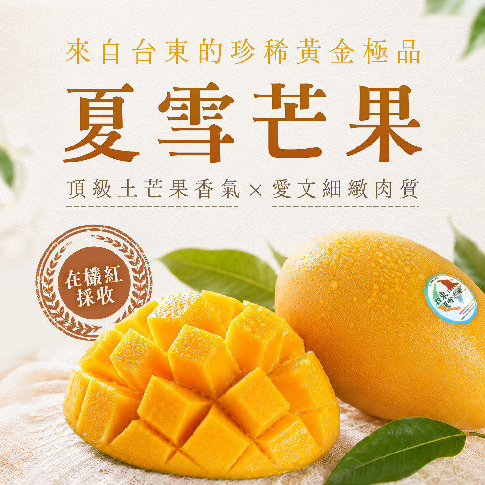 芒果商說-01