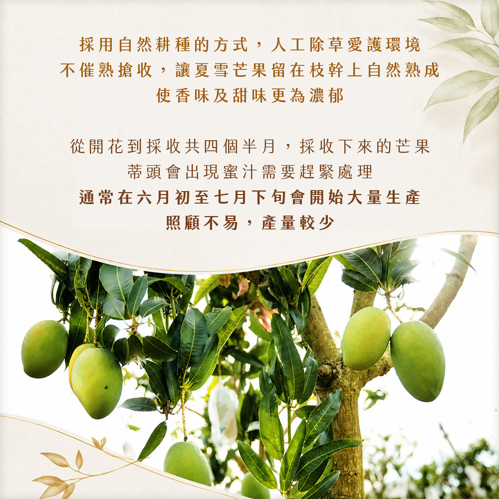 芒果商說-08