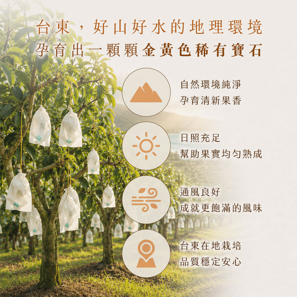 芒果商說-02