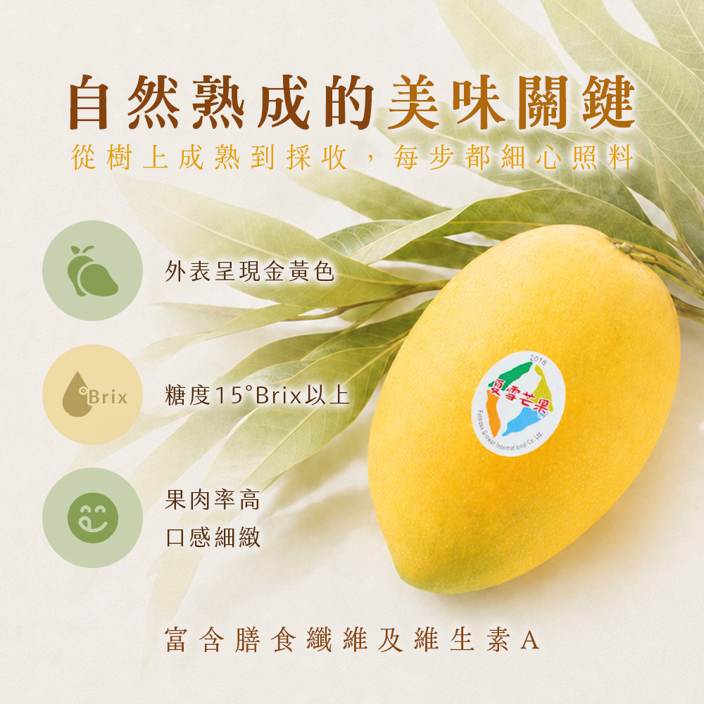 芒果商說-05