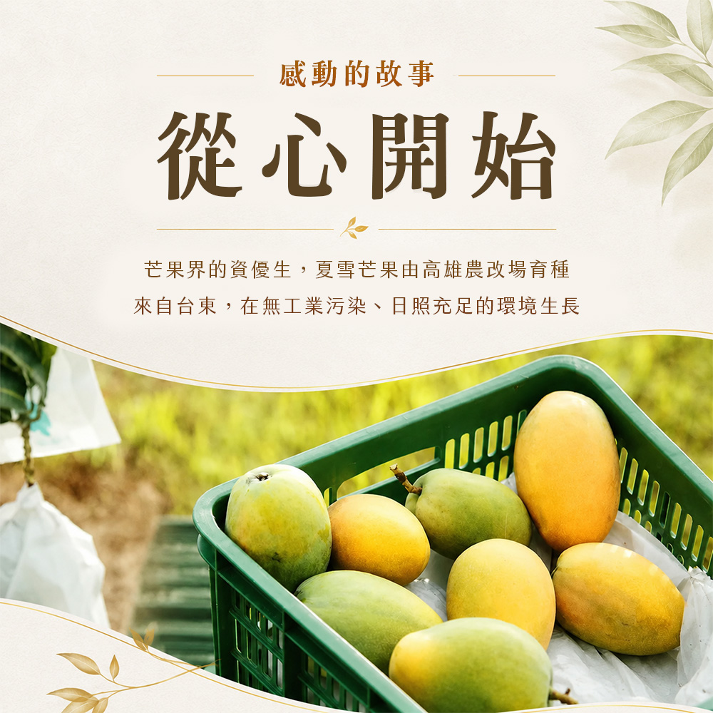 芒果商說-07