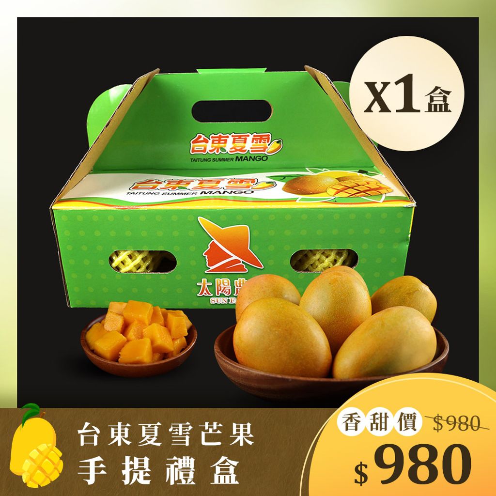 手提禮盒一盒-980 (1)