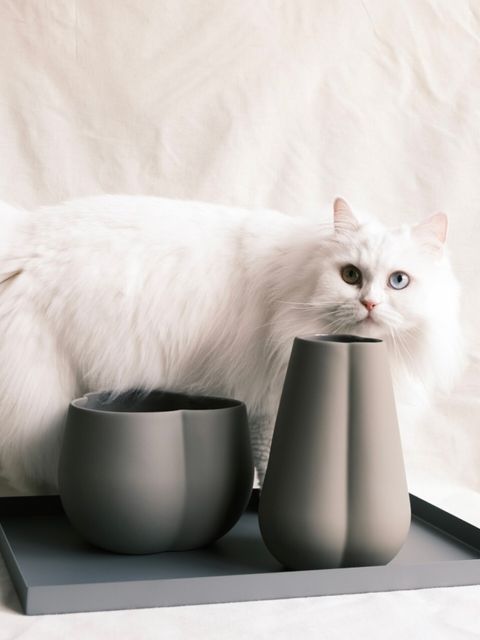 三葉草泥色花盆（H:18cm）