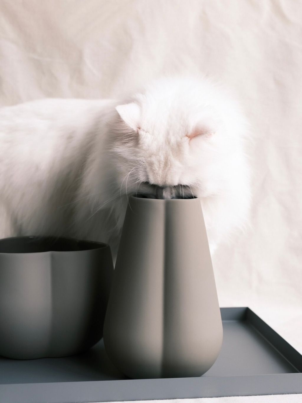 三葉草泥色花盆（H:18cm）