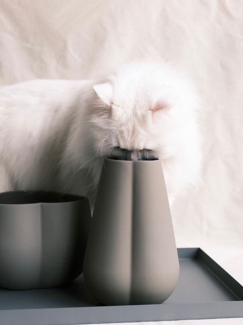 三葉草泥色花盆（H:18cm）