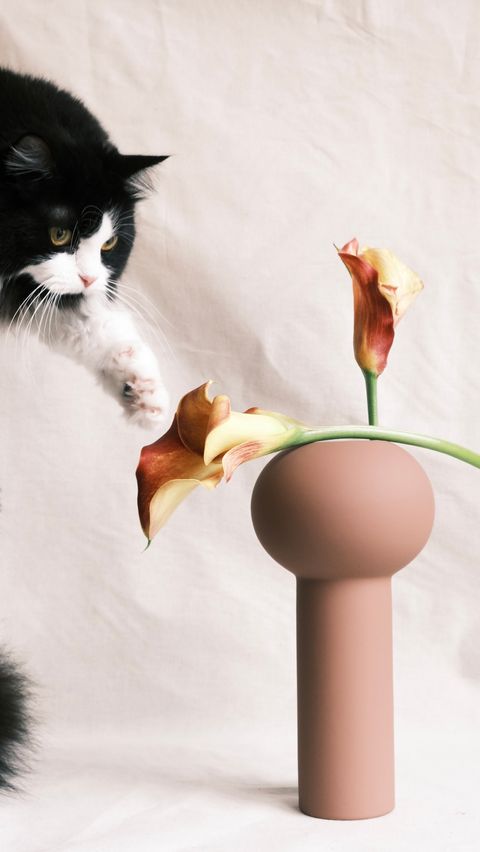 乾燥玫瑰柱狀花瓶