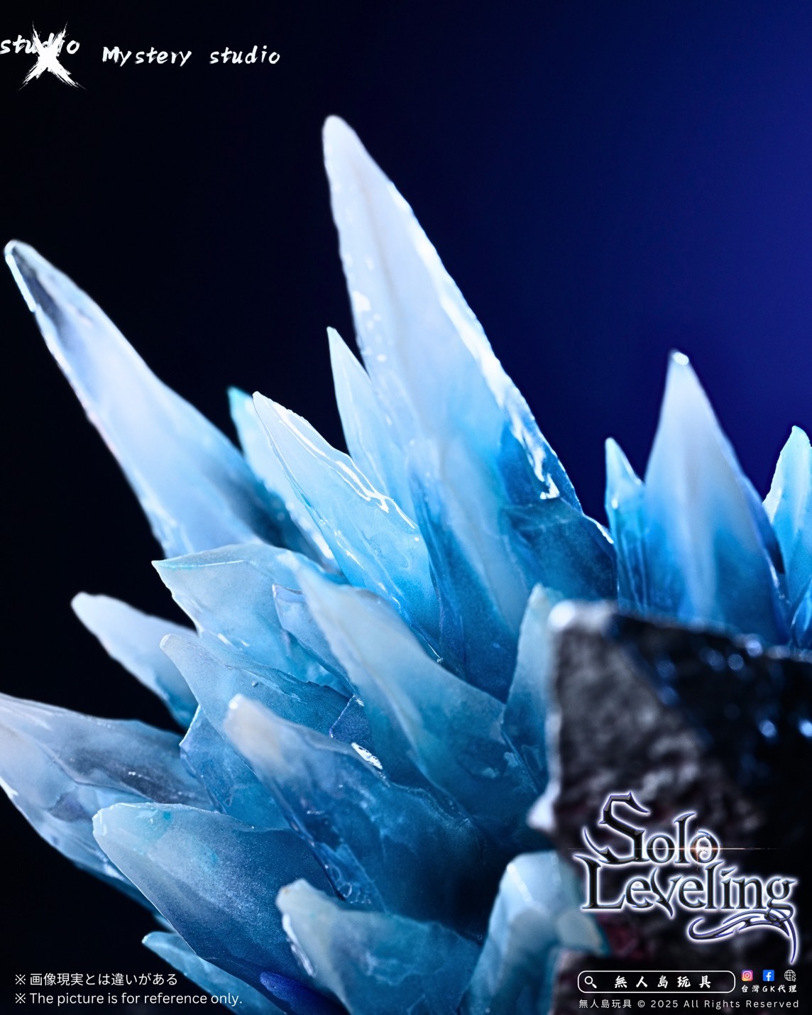 S__21545265_0