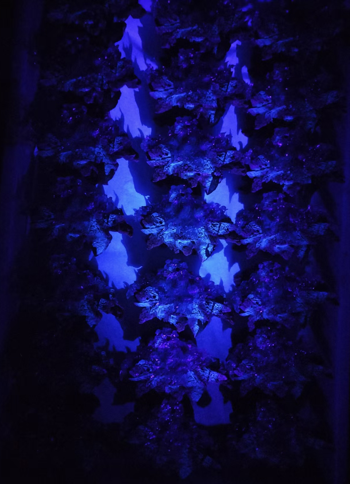 image_47187FE8-8F59-4191-A284-6369910A79A7_1758885970