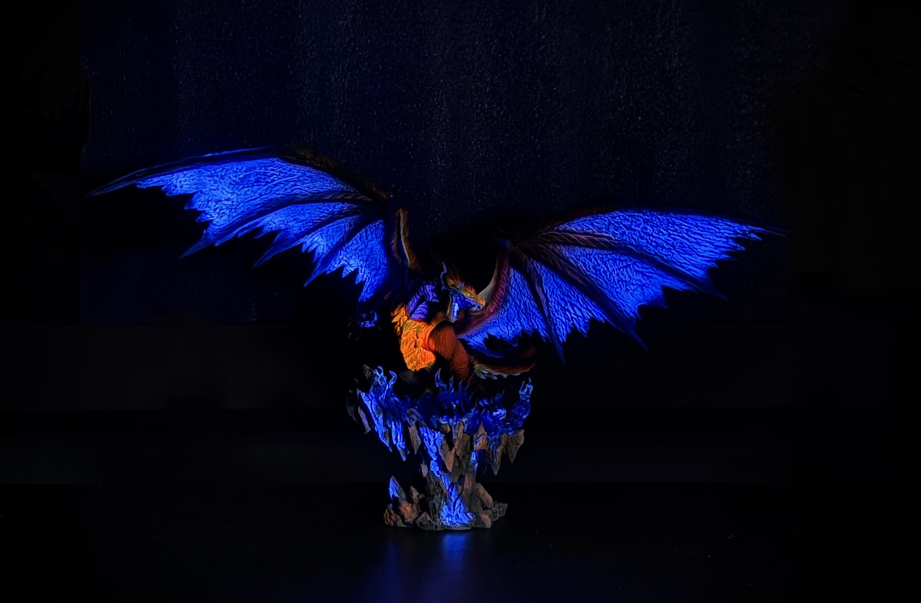 image_B94F0340-375A-4591-A682-E2AE4987354F_1758885970