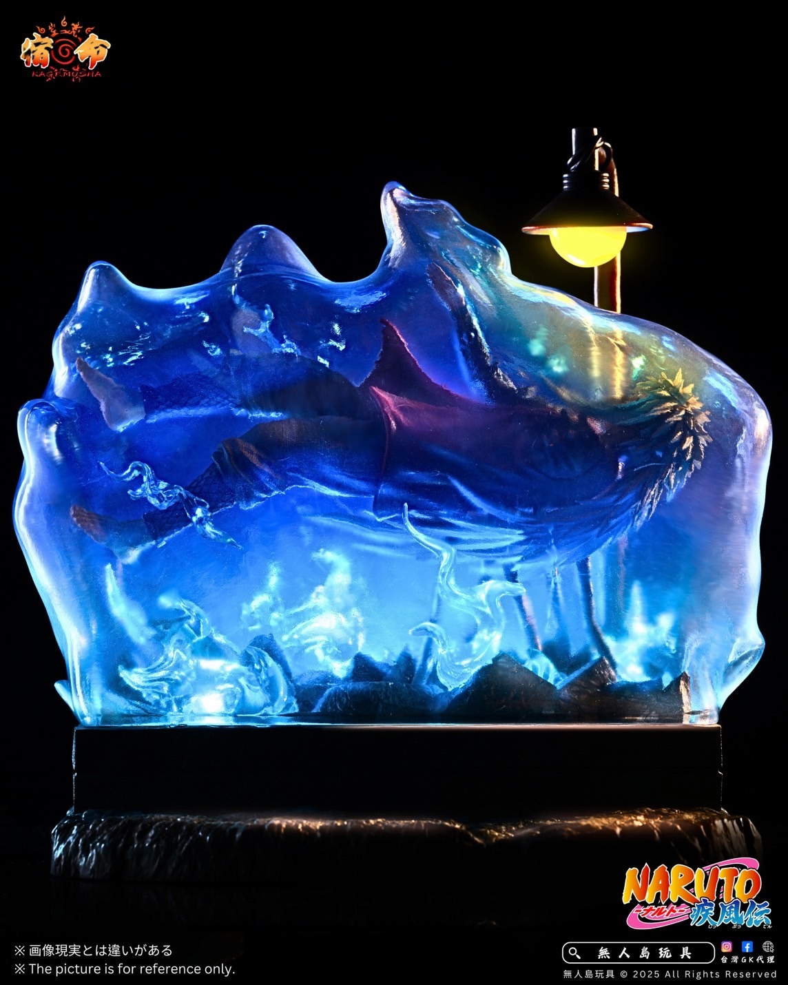 image_9F8E3380-C47E-4008-AAAF-D1BCDC33B2EF_1766745160