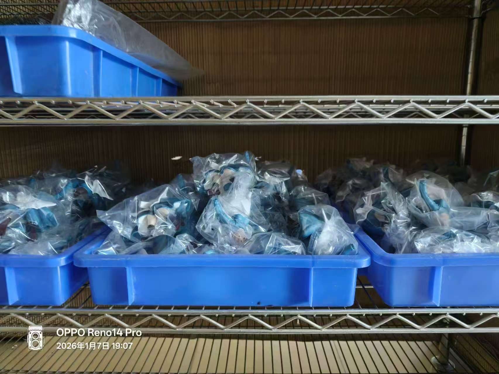 image_2F63C0ED-DFB8-4751-9136-FAED5251CB1D_1767928512