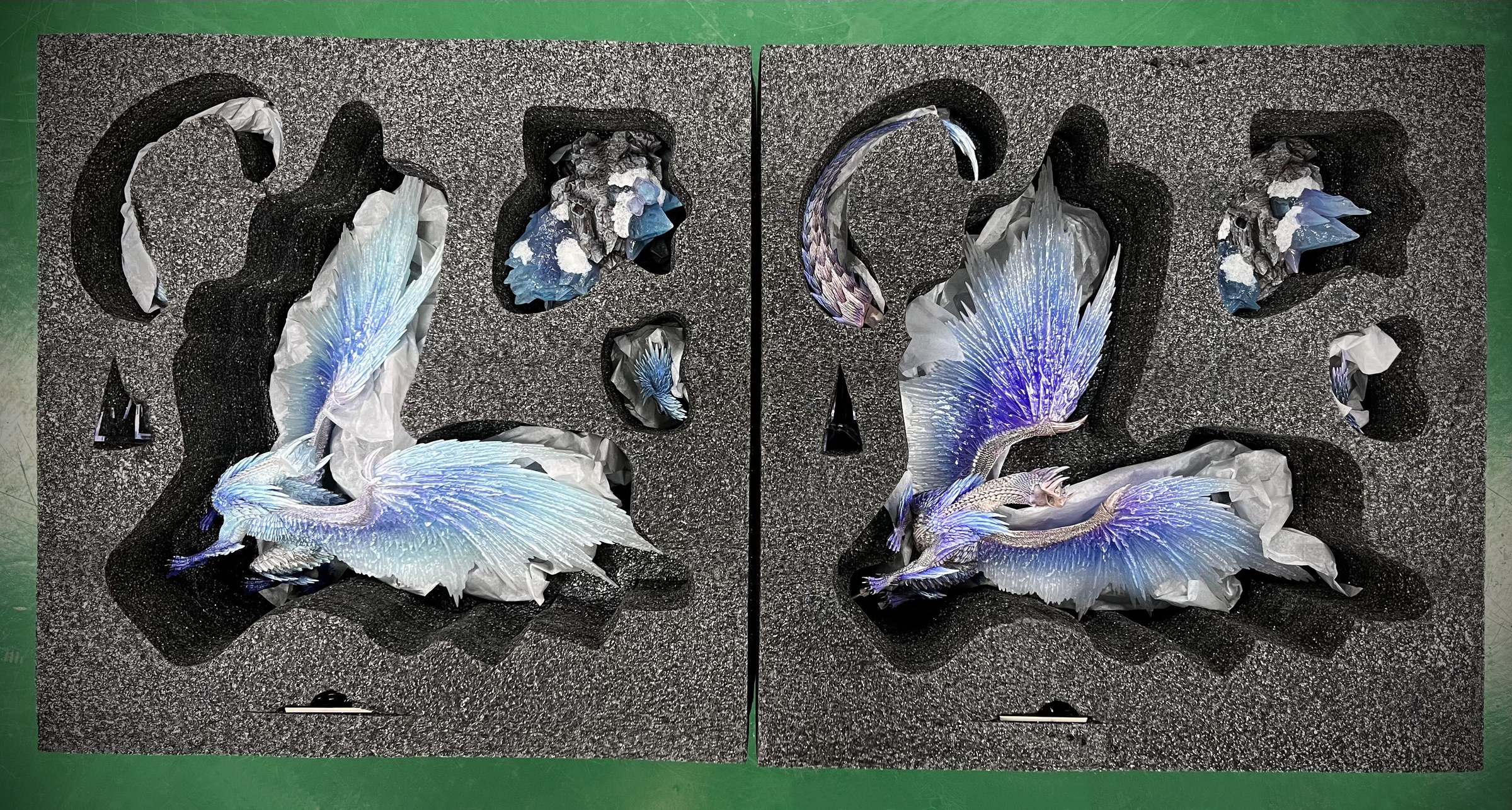 image_2089ABD9-3E33-4338-BFC8-7B6BD0EE9DE0_1769395772