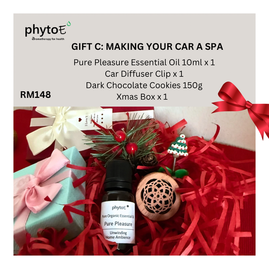 Christmas Gift C | PhytoE