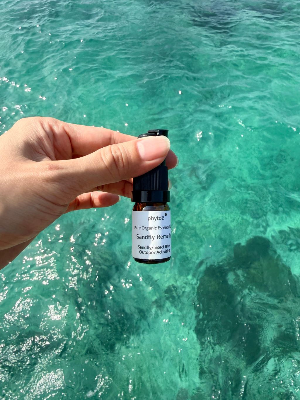 image_5F6636C3-D6A7-432A-A189-6CEA2F8381DD_1773649324