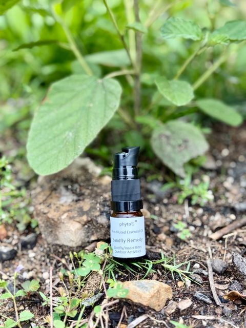 IMG_6552-1729420735724