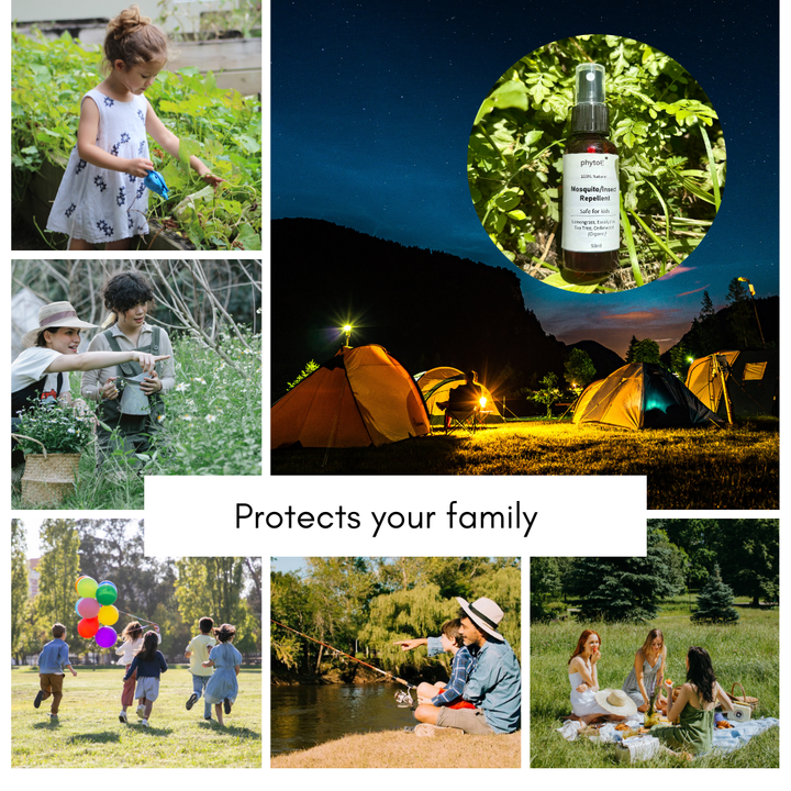 Home Essential Oils.zip - 47-1729420768441