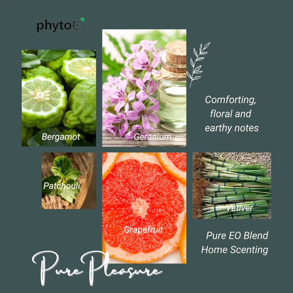 Mood Setting of Prosperity Scents .zip - 28-1738658029312