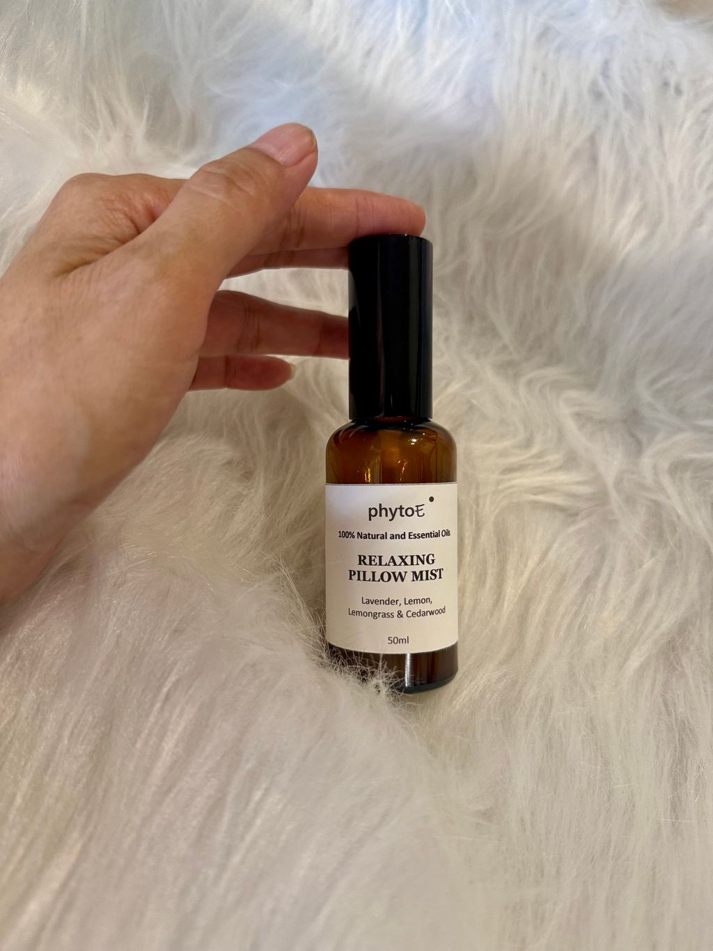 image_5431025A-1AA5-407C-B0E4-3FF90450A4A8_1766040841