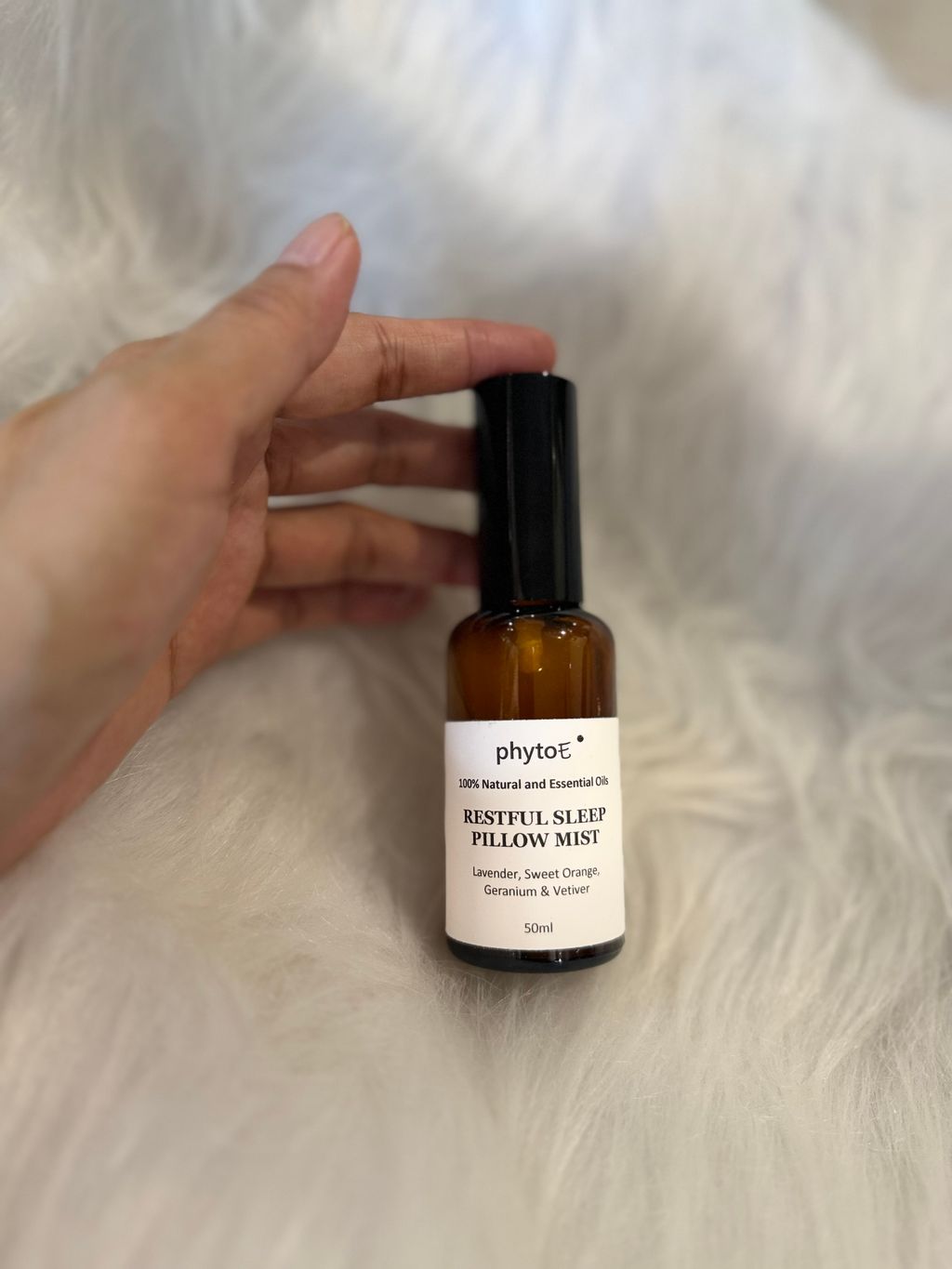 image_14F509B0-8611-4D8E-AC39-C242BAE83545_1766041023