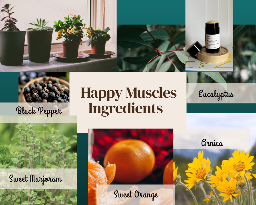 image_179EFADC-A4D5-44B7-A011-2EABA69F94BA_1767773736