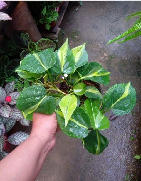 Screenshot_20221214-235738_Gallery