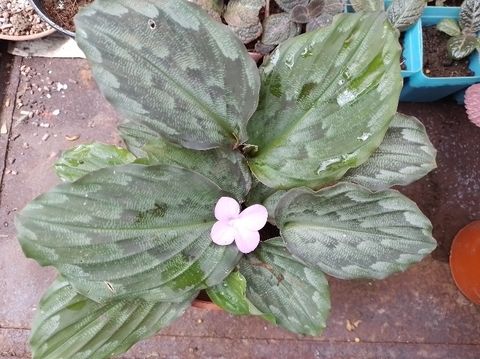 Screenshot_20250512_195141_Gallery