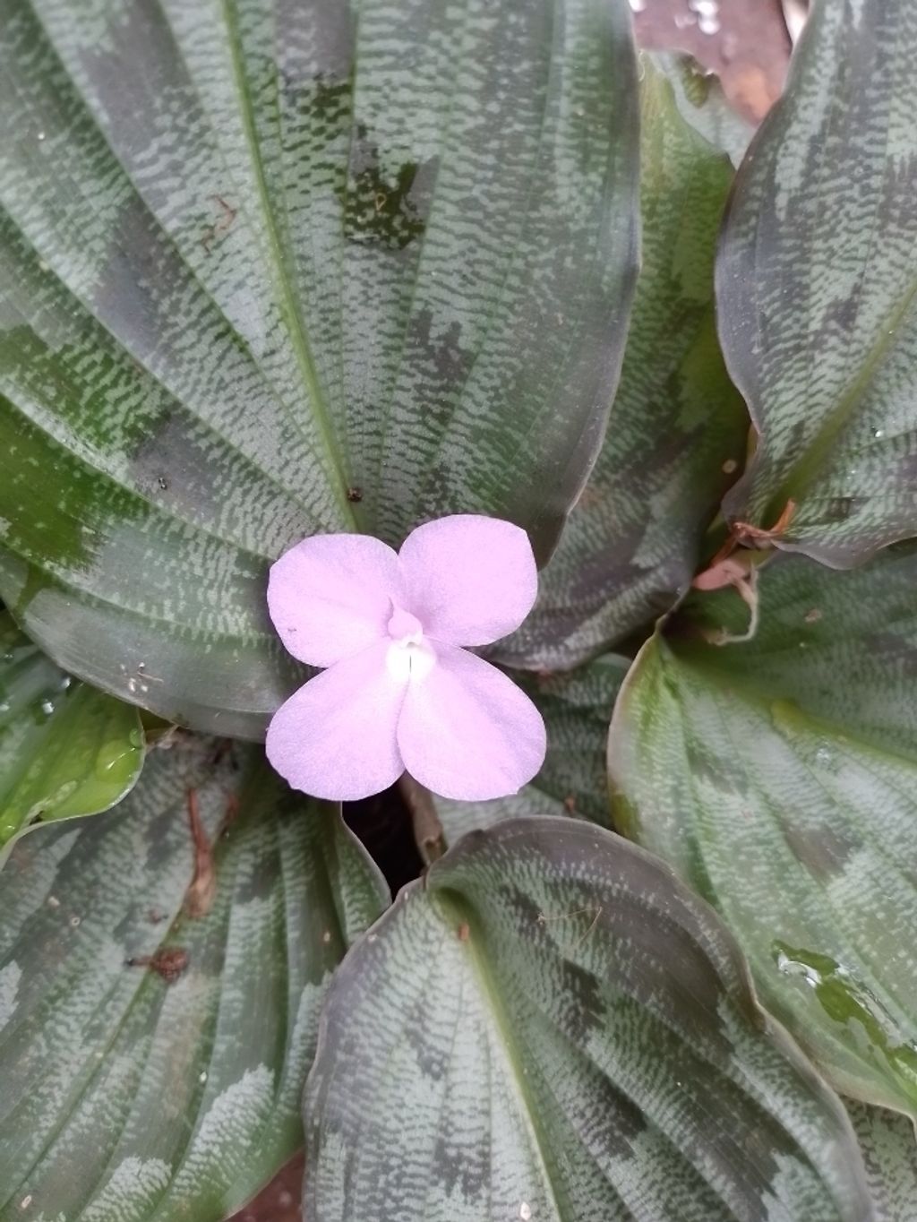 Screenshot_20250512_195156_Gallery