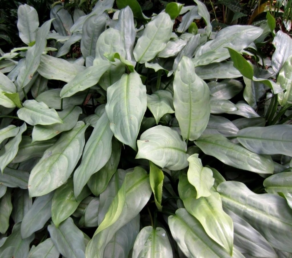 Screenshot_20250514_222242_Chrome