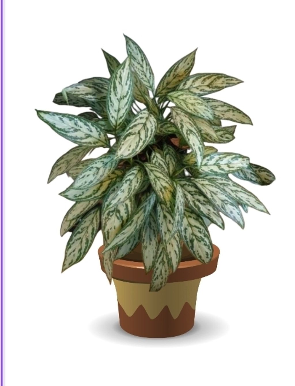 Screenshot_20250515_161338_Canva