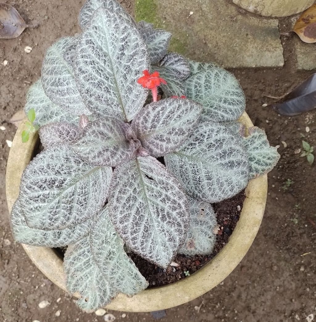 Screenshot_20250516_163629_Gallery