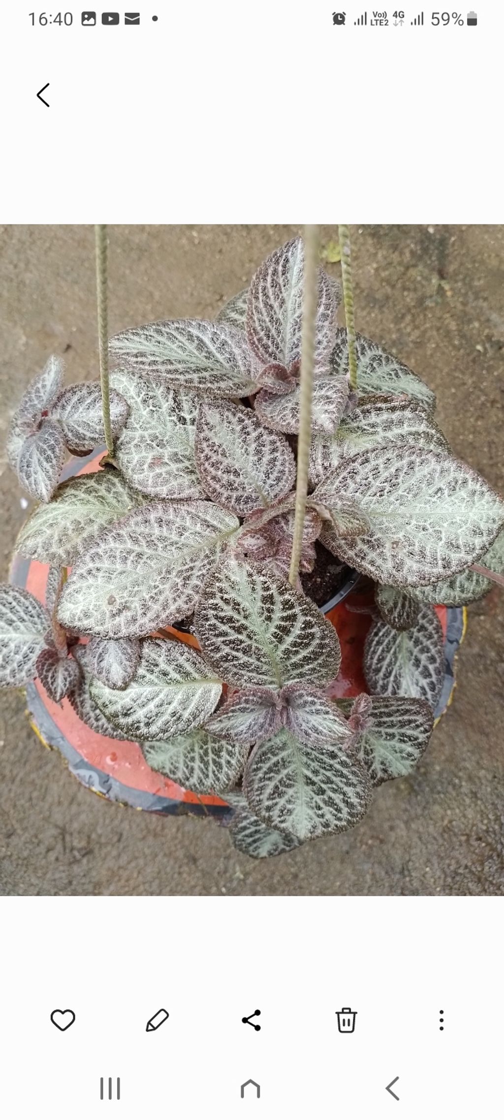 Screenshot_20250516_164012_Gallery