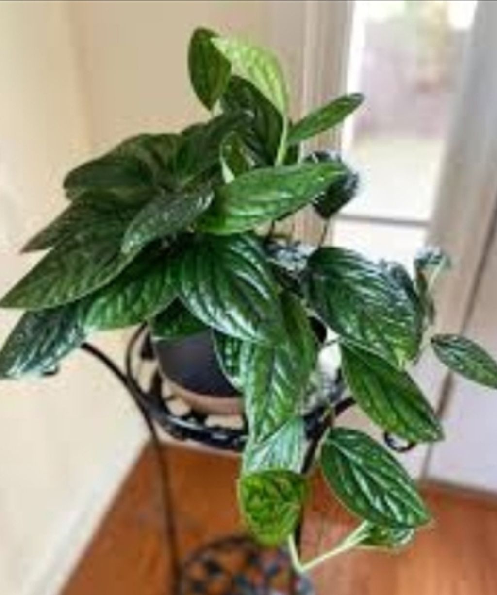 Screenshot_20250516_225618_Gallery