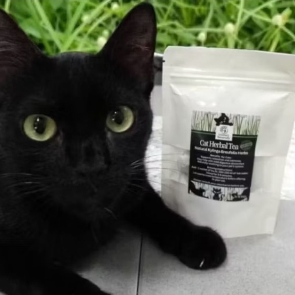 Screenshot_20250518_220006_Shopee