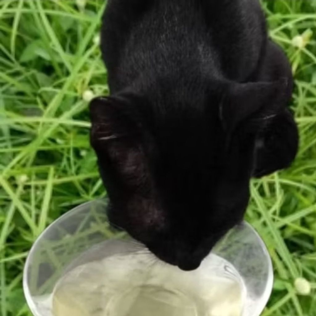 Screenshot_20250518_215916_Shopee