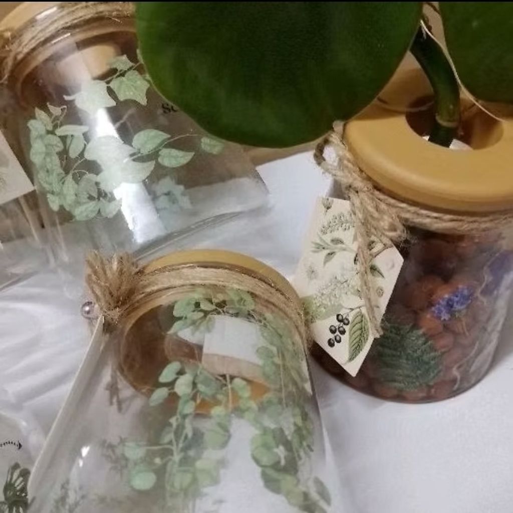 Screenshot_20250519_131635_Shopee