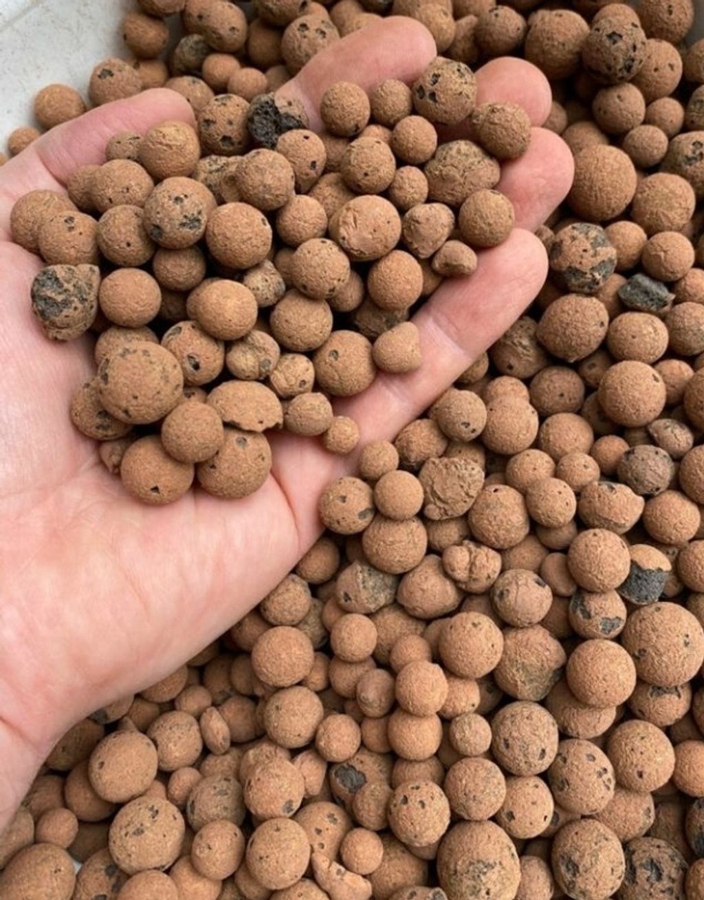 Screenshot_20250519_140751_Pinterest