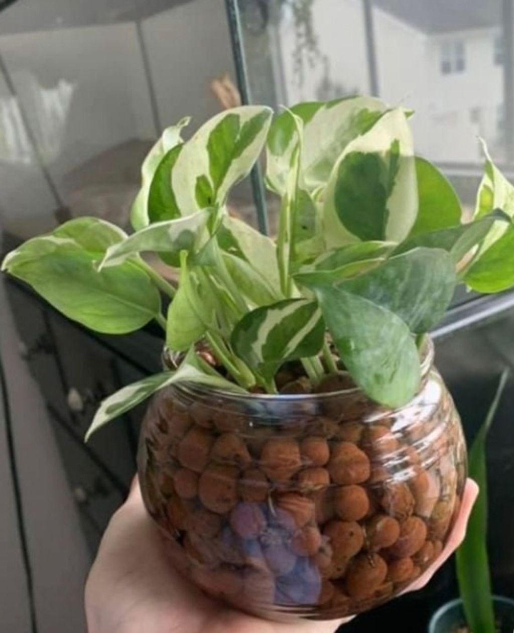 Screenshot_20250519_140926_Pinterest