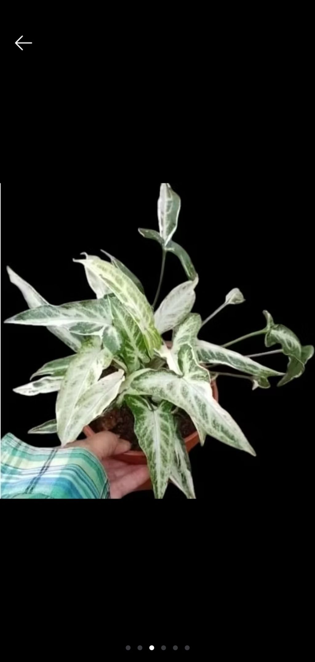 Screenshot_20250520_230558_Shopee