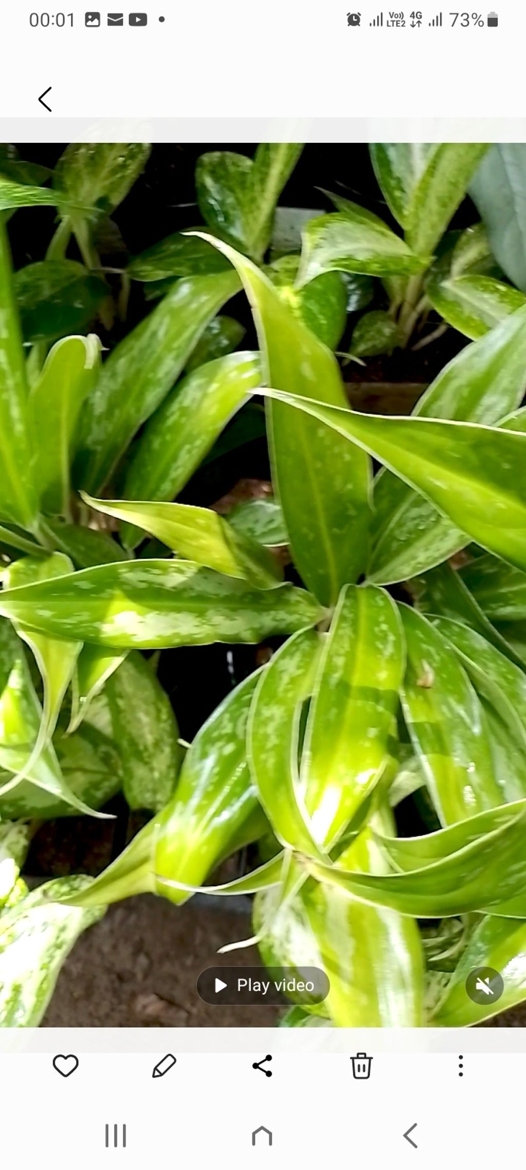 Screenshot_20250521_000122_Gallery