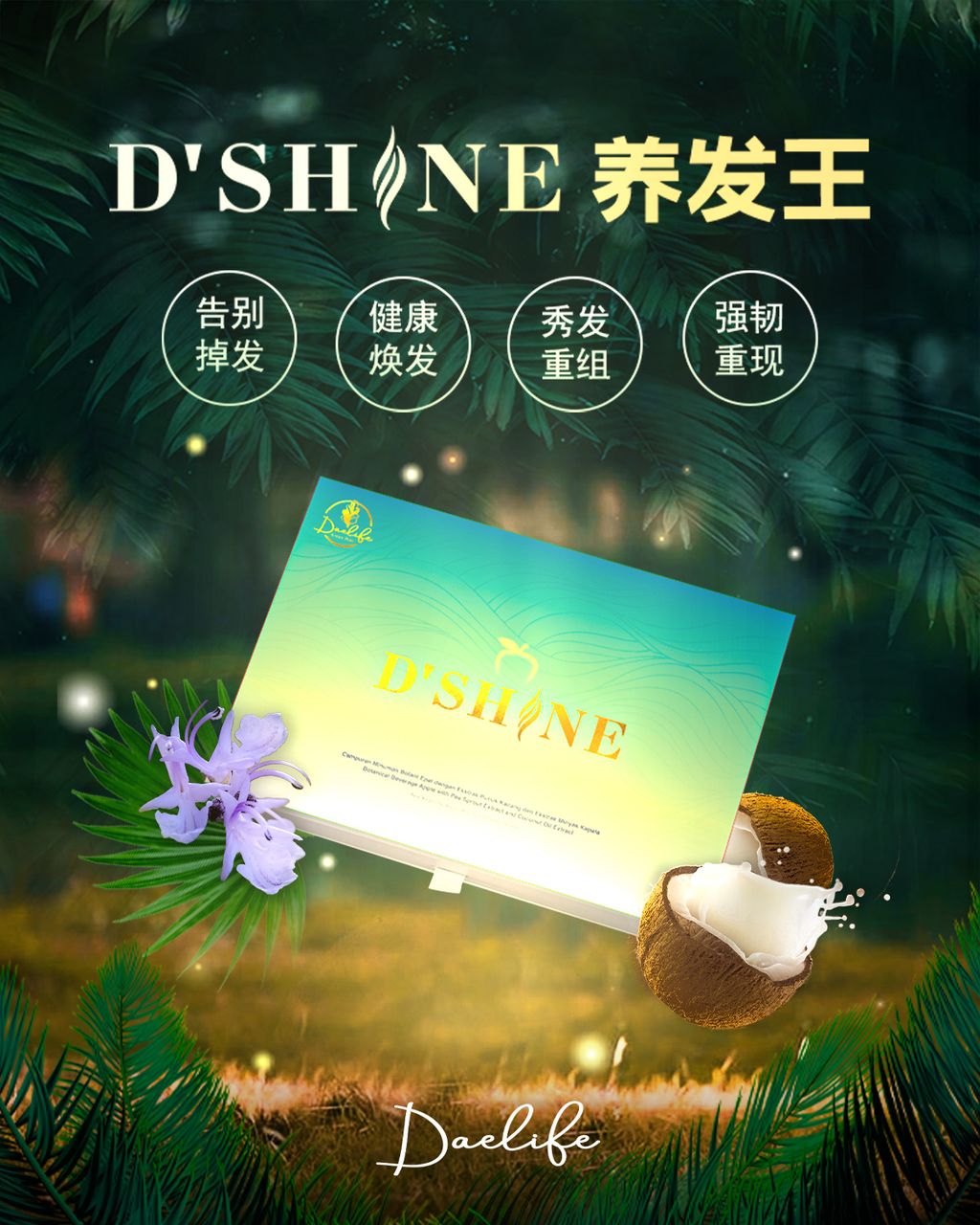 dshine poster 2