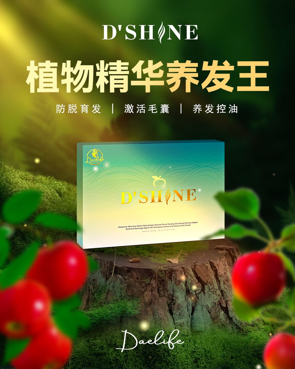 dshine poster 1
