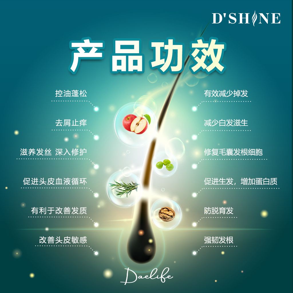 dshine poster 12
