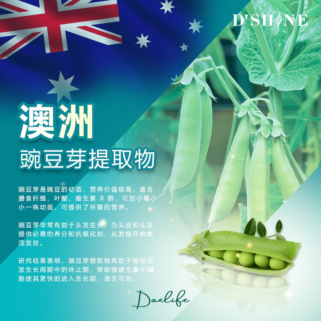 dshine poster 6