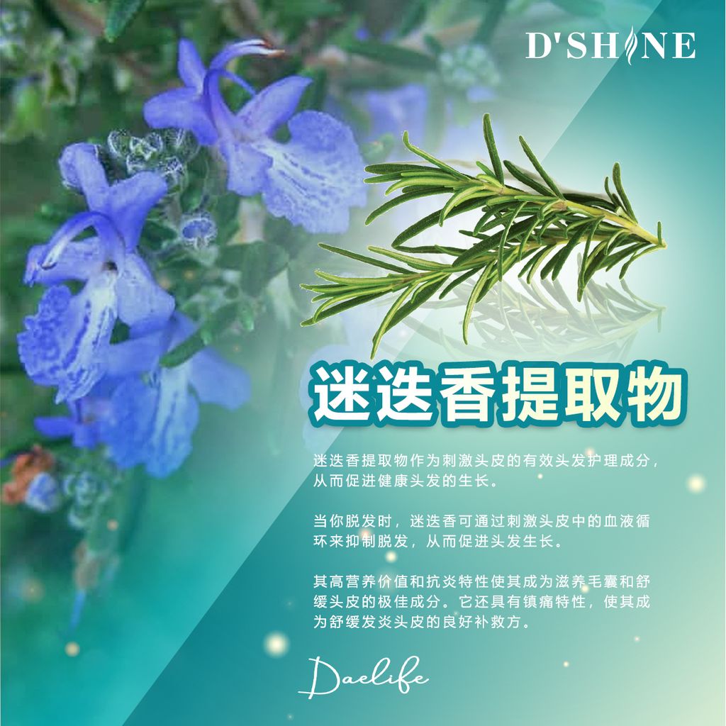 dshine poster 9