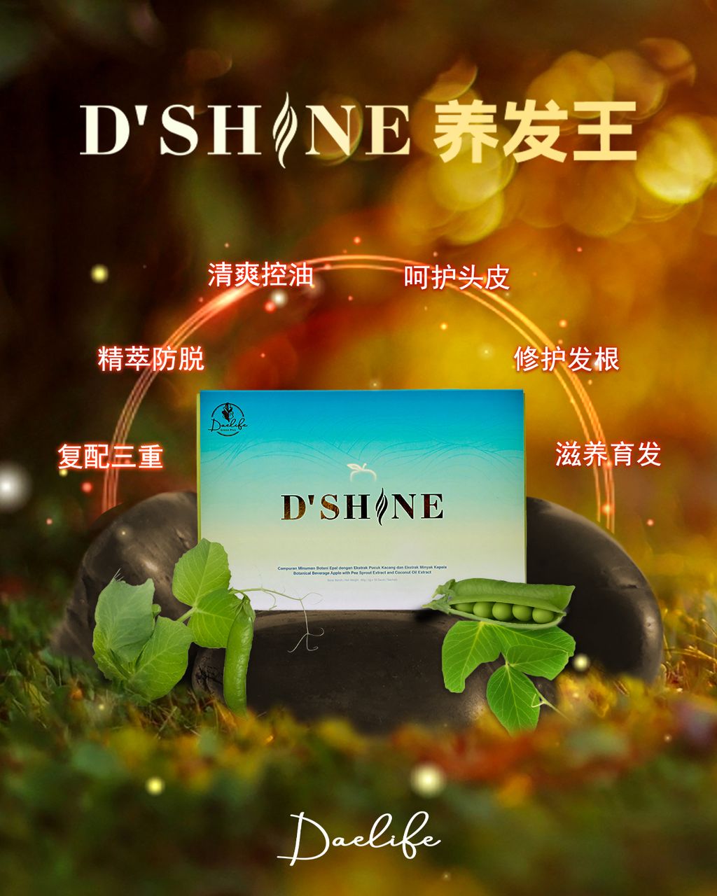 dshine poster 3a