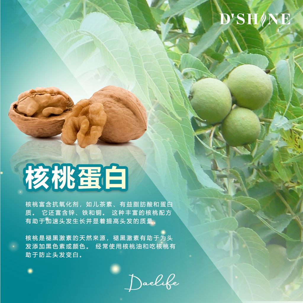 dshine poster 10